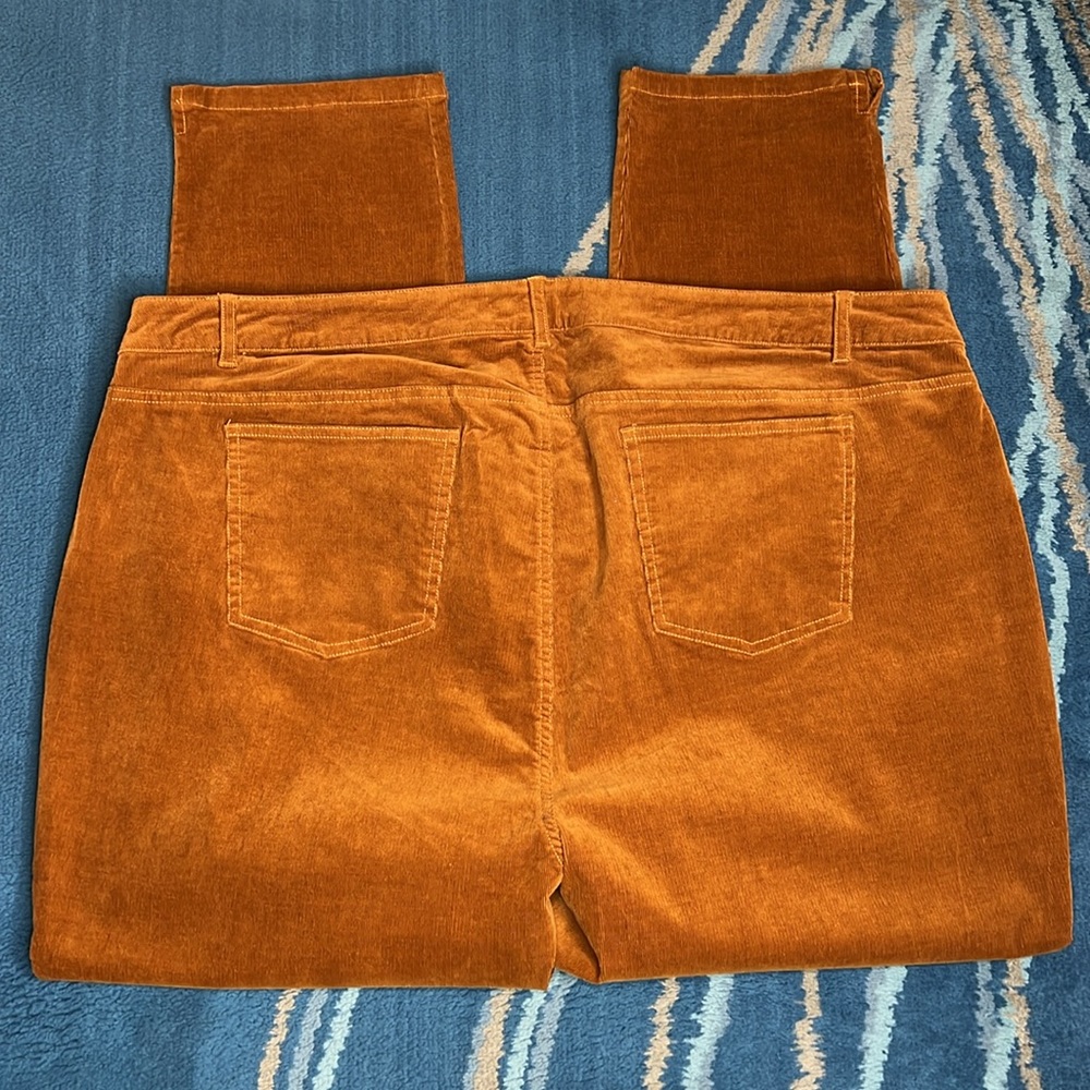New ModCloth Teaching Ease Skinny Corduroy Pant Size 26 (Plus Size) - Picture 6 of 6